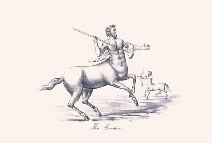 Framed Print : Mythological horse illustration
