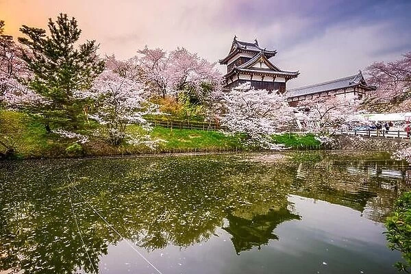 Nara, Japan at Koriyama Castle in the spring season