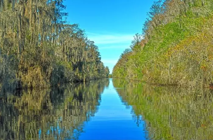 Framed Print : Narrow Channel Through Cypress Swamp in the Okefenokee National Wildlife Refuge in Georgia Framed Print : Narrow Channel Through Cypress Swamp in the Okefenokee National Wildlife Refuge in Georgia
