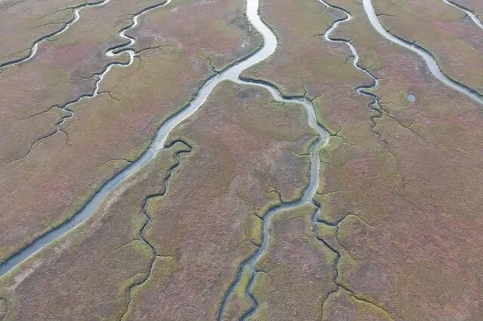 Framed Print : Narrow channels meander through a beautiful estuary in Central California. Estuaries form when freshwater runoff meets and mixes with seawater Framed Print : Narrow channels meander through a beautiful estuary in Central California. Estuaries form when freshwater runoff meets and mixes with seawater