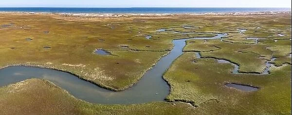 Narrow channels meander through a salt marsh in Pleasant Bay, Cape Cod, Massachusetts. This wetland habitat is vital feeding grounds for wildlife