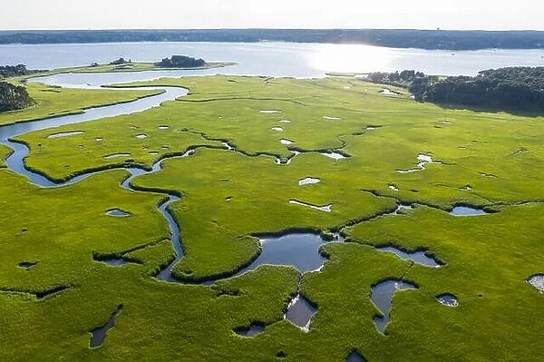 Narrow channels run through a salt marsh on Cape Cod, Massachusetts. This marine habitat serves as a nursery for fish and invertebrates and birds
