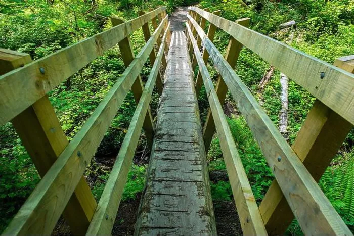Framed Print : A Narrow Wood Footbridge on a Hiking Trail Near Squak Mountain, Washington, USA Framed Print : A Narrow Wood Footbridge on a Hiking Trail Near Squak Mountain, Washington, USA