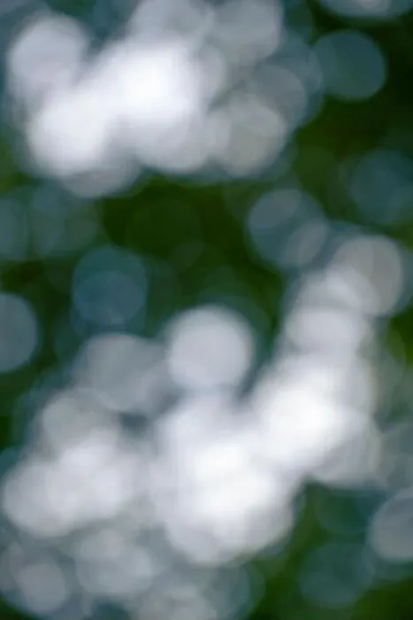 Framed Print : Natural Bokeh Background of Green Leaves Framed Print : Natural Bokeh Background of Green Leaves