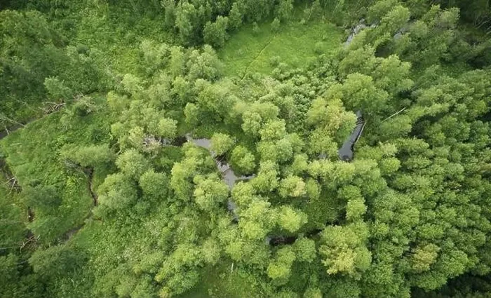 Framed Print : Natural eco green background with forest and river aerial view