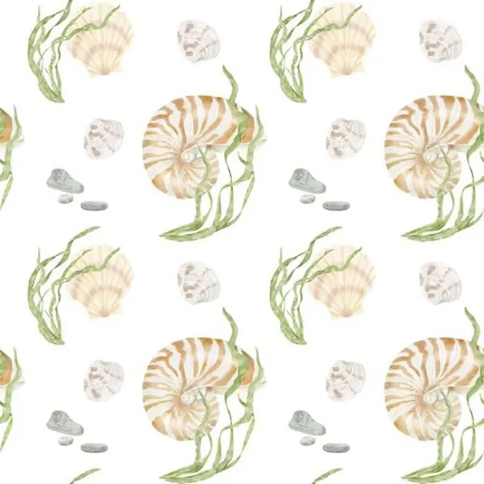Framed Print : Nautilus clam shell and green algae from the underwater world of the ocean Framed Print : Nautilus clam shell and green algae from the underwater world of the ocean