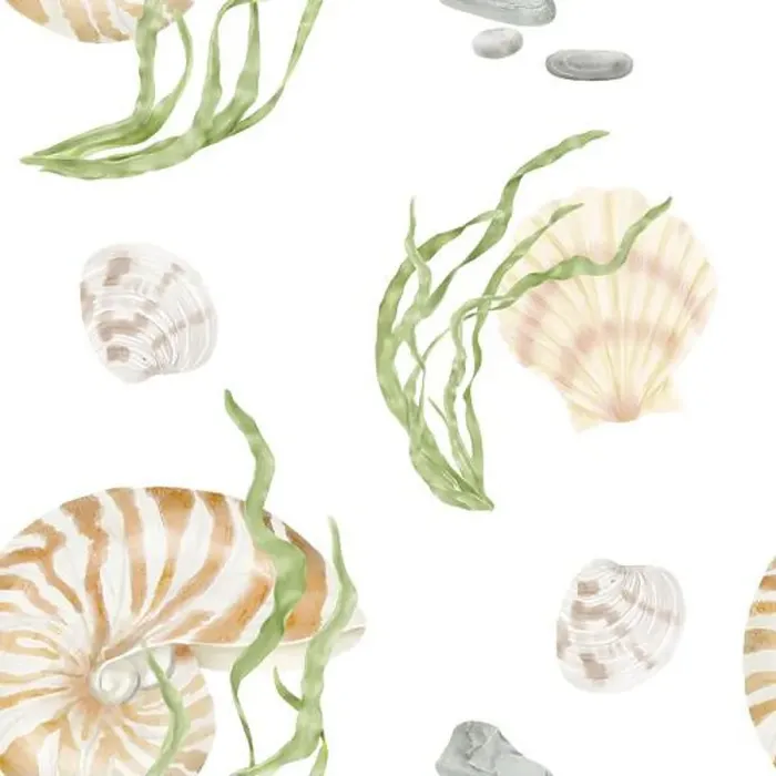 Framed Print : Nautilus clam shell and green algae from the underwater world of the ocean Framed Print : Nautilus clam shell and green algae from the underwater world of the ocean