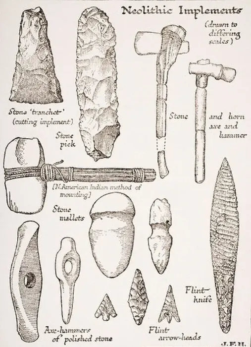 Framed Print : Neolithic Implements. Weapons, tools Framed Print : Neolithic Implements. Weapons, tools