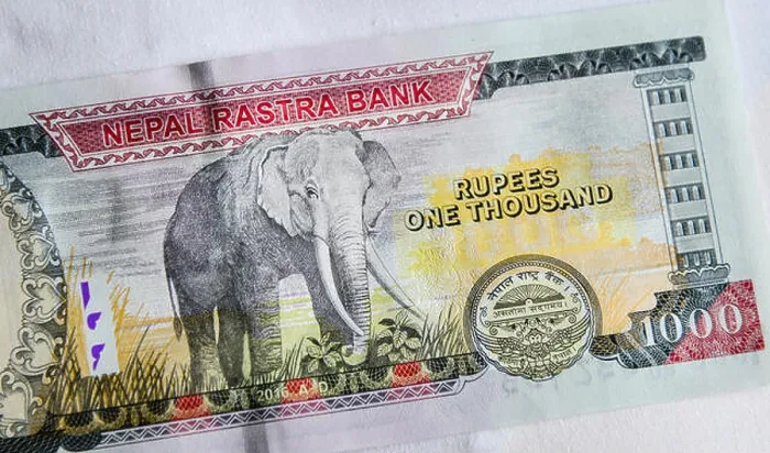 Framed Print : A Nepalese banknote (NPR) 1000 Rupees Framed Print : A Nepalese banknote (NPR) 1000 Rupees