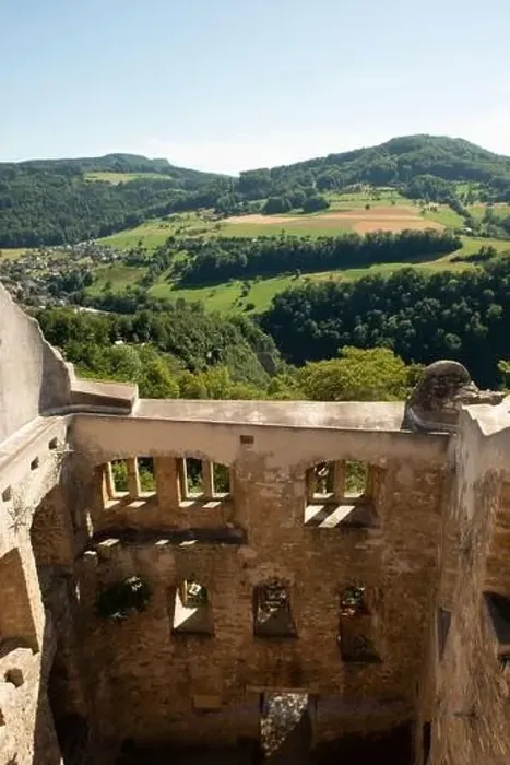 Framed Print : Neu-Homburg Castle from the air - Drone photography
