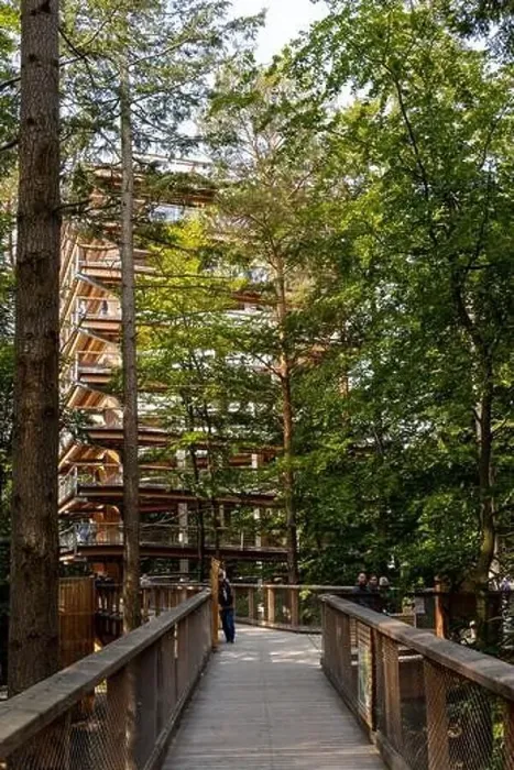 Framed Print : The new tree-top walk in Heringsdorf as a holiday destination Framed Print : The new tree-top walk in Heringsdorf as a holiday destination