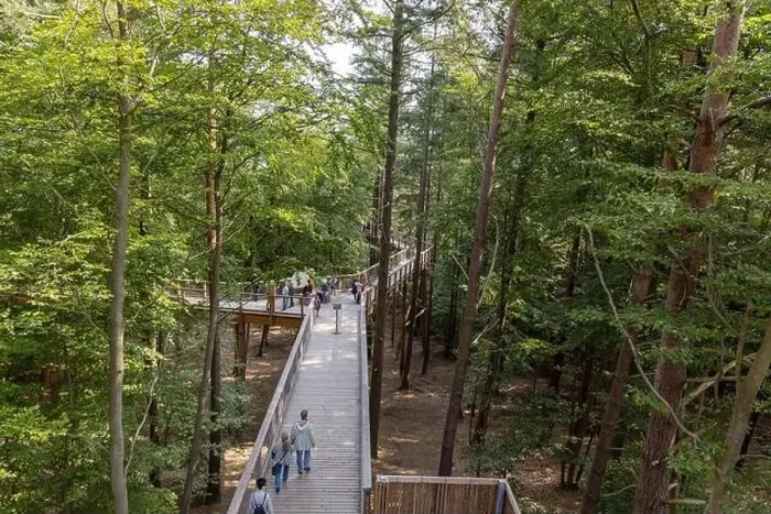 Framed Print : The new tree-top walk in Heringsdorf as a holiday destination Framed Print : The new tree-top walk in Heringsdorf as a holiday destination
