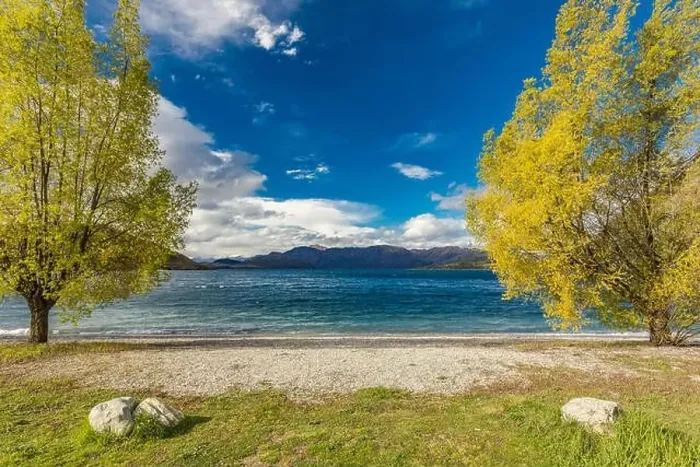 Framed Print : New Zealand landscape, Lake Wanaka, Glendhu Bay - lake and trees