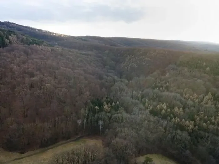 Framed Print : nice aerial drone image of the Vienna Woods in January in the afternoon Framed Print : nice aerial drone image of the Vienna Woods in January in the afternoon