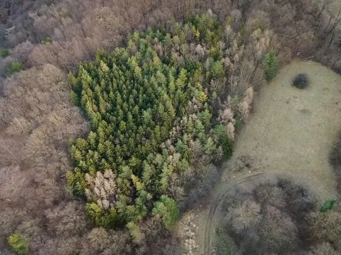 Framed Print : nice aerial drone image of the Vienna Woods in January in the afternoon Framed Print : nice aerial drone image of the Vienna Woods in January in the afternoon