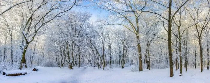 Framed Print : Oak trees covered with snow on frosty morning landscape. Amazing winter nature panorama. Bright colorful sunrise over wintry park, fantastic scenic Framed Print : Oak trees covered with snow on frosty morning landscape. Amazing winter nature panorama. Bright colorful sunrise over wintry park, fantastic scenic
