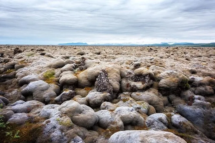 Framed Print : Offbeat Iceland landscape with lava field covered with brown moss Eldhraun from volcano eruption and cloudy sky Framed Print : Offbeat Iceland landscape with lava field covered with brown moss Eldhraun from volcano eruption and cloudy sky