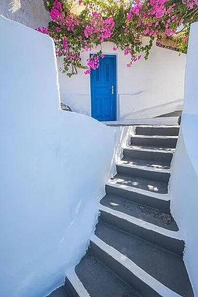 Old blue door and pink flowers, traditional Greek architecture, Santorini island, Greece. Beautiful details of the island of Santorini, Aegean
