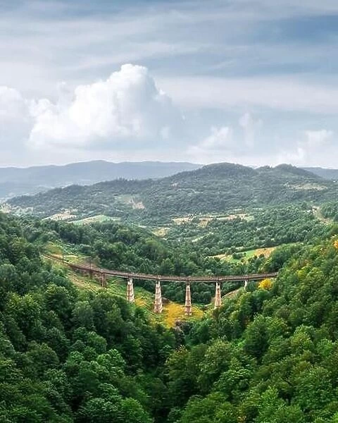 Old railway bridge in lush summer forest in Carpathians mountains, Ukraine. Landscape photography