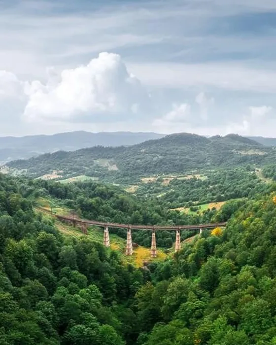Framed Print : Old railway bridge in lush summer forest in Carpathians mountains, Ukraine. Landscape photography Framed Print : Old railway bridge in lush summer forest in Carpathians mountains, Ukraine. Landscape photography