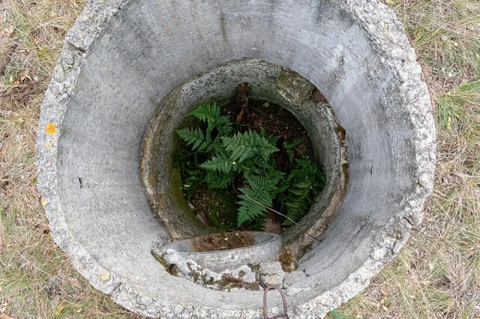 Framed Print : Old sewer. Fern growing in the sewers. Industrial sewage system Framed Print : Old sewer. Fern growing in the sewers. Industrial sewage system