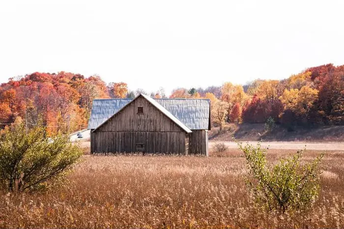 Framed Print : Old wood barn in a field with autumn trees in the background Framed Print : Old wood barn in a field with autumn trees in the background