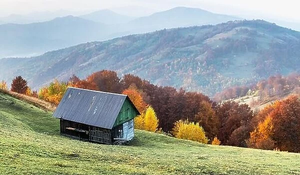 Old wooden house on green meadow in Carpathian mountains. Multicolored autumn trees on background. Landscape photography