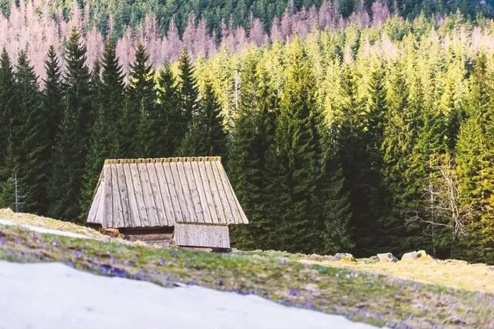 Framed Print : Old wooden hut in spring High Tatras mountains in Kalatowki meadow, Zakopane, Poland. Last snow on a foreground. Landscape photography Framed Print : Old wooden hut in spring High Tatras mountains in Kalatowki meadow, Zakopane, Poland. Last snow on a foreground. Landscape photography