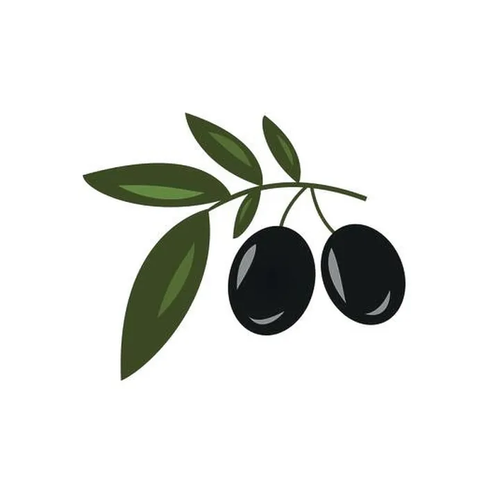 Framed Print : Olive oil. Logo. Vector illustration. Black and green olives on white background