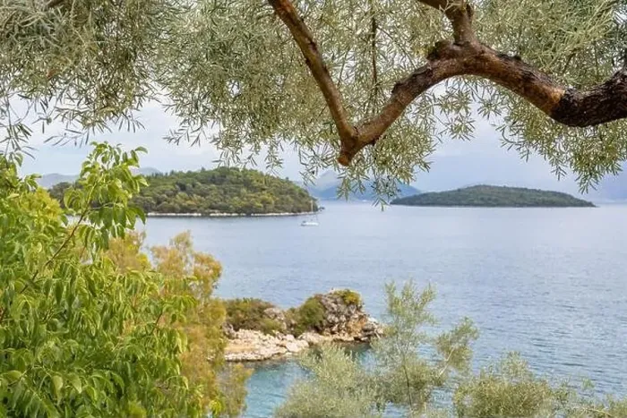Framed Print : Olive tree, Lefkada, a Greek island in the Ionian Sea Framed Print : Olive tree, Lefkada, a Greek island in the Ionian Sea