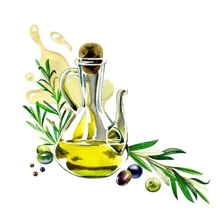 Framed Print : Olives oil and herbs. Watercolor illustration of olives Framed Print : Olives oil and herbs. Watercolor illustration of olives