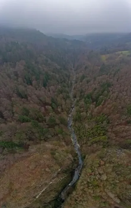 Framed Print : op down drone view of a river gorge flowing through a misty forest alpine landscape on a foggy winters day Framed Print : op down drone view of a river gorge flowing through a misty forest alpine landscape on a foggy winters day
