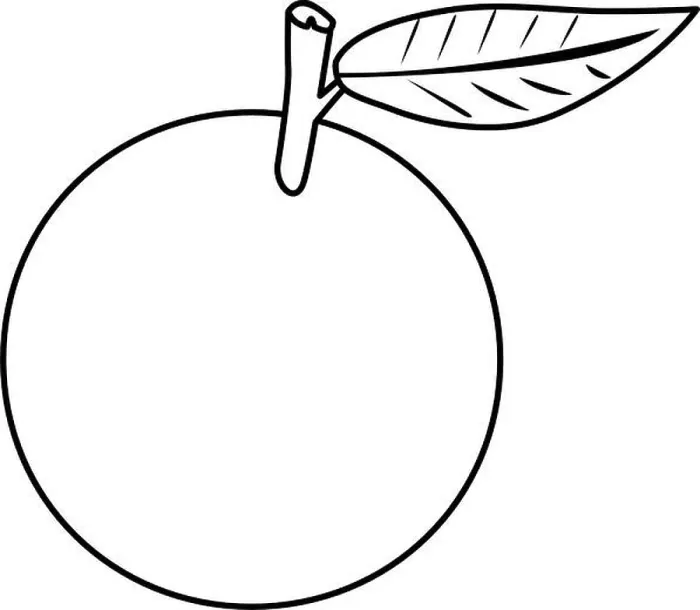 Framed Print : orange delicious fresh fruit nutrition vector illustration outline Framed Print : orange delicious fresh fruit nutrition vector illustration outline