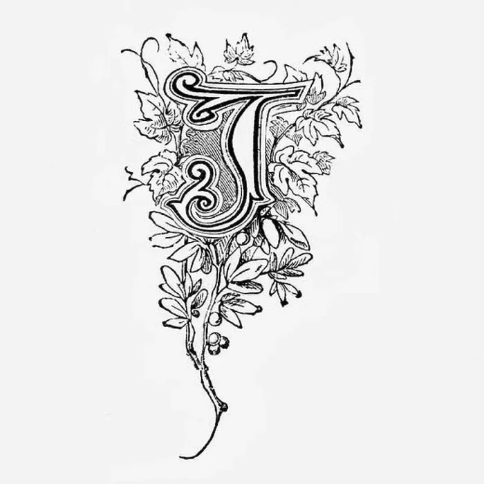 Framed Print : An ornately decorated letter used as an initial or drop cap at the beginning of a word Framed Print : An ornately decorated letter used as an initial or drop cap at the beginning of a word
