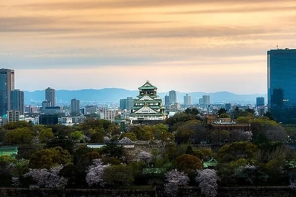 Osaka castle with cherry blossom and Center business district in background at Osaka, Japan