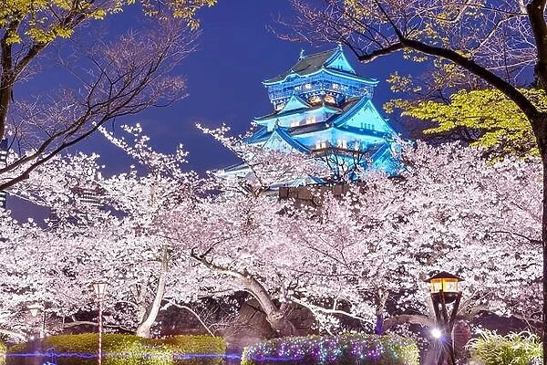 Osaka, Japan at Osaka, Castle with cherry blossoms