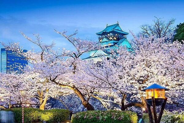 Osaka, Japan sakura at Osaka Castle