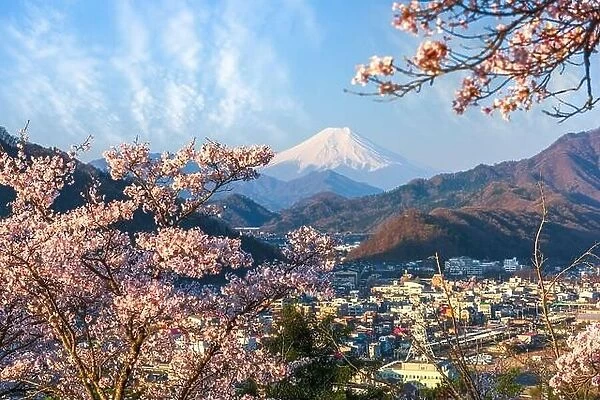 Otsuki, Japan cityscape with Mt. Fuji in spring season with cherry blossoms