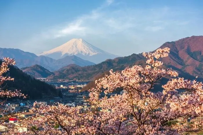 Framed Print : Otsuki, Japan cityscape with Mt. Fuji in spring season with cherry blossoms Framed Print : Otsuki, Japan cityscape with Mt. Fuji in spring season with cherry blossoms