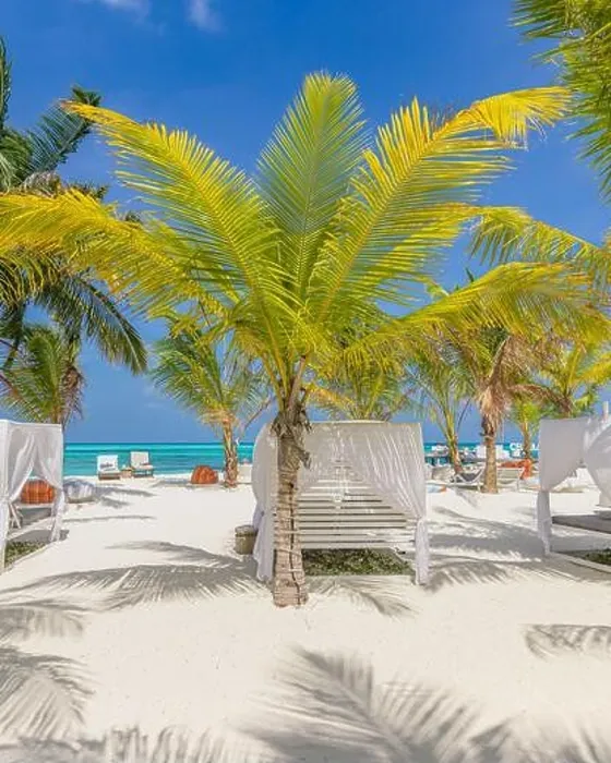 Framed Print : Outside lounging scenic, canopy and chairs relax vacation beach bar blue paradise sky sea and coconut tree in travel easy slow chill refreshment Framed Print : Outside lounging scenic, canopy and chairs relax vacation beach bar blue paradise sky sea and coconut tree in travel easy slow chill refreshment