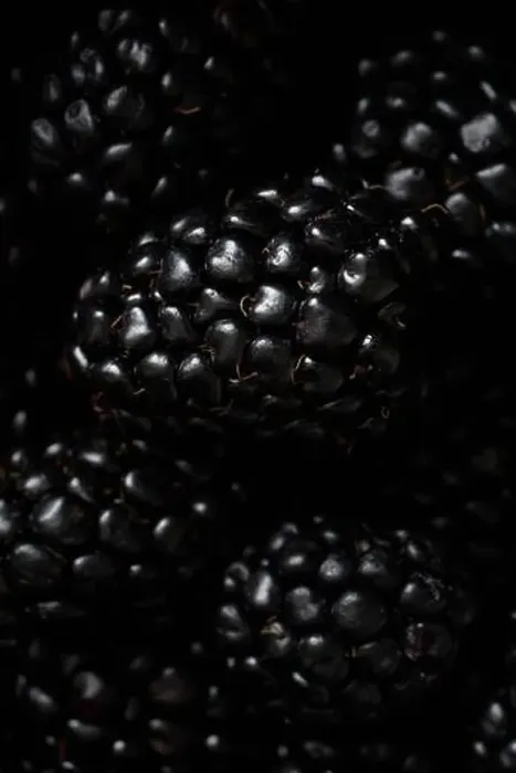 Framed Print : Overhead macro shot of blackberries Framed Print : Overhead macro shot of blackberries