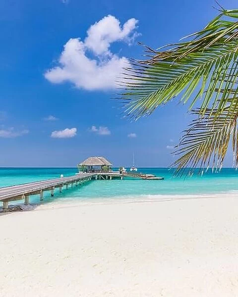 Overwater bungalow, shore coast landscape. Tropical island beach, amazing blue sky endless sea view with palm tree leaves, horizon, exotic luxury