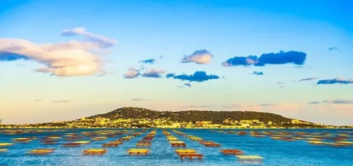 Framed Print : Oyster park in the pond of Thau and Sete, France Framed Print : Oyster park in the pond of Thau and Sete, France