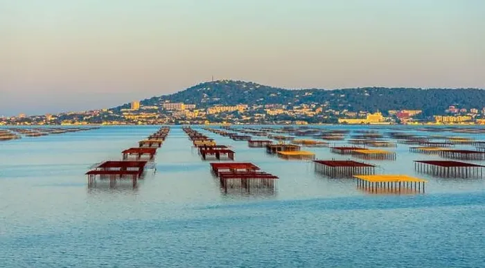 Framed Print : Oyster tables on the Etang de Thau, and Mont Saint Clair at sunset, in Occitanie, France Framed Print : Oyster tables on the Etang de Thau, and Mont Saint Clair at sunset, in Occitanie, France