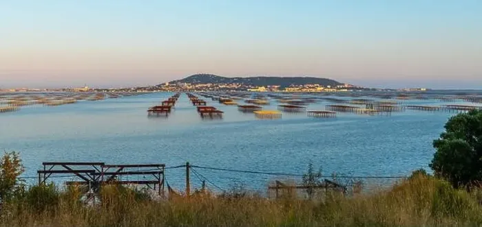 Framed Print : Oyster tables on the Etang de Thau, and Mont Saint Clair at sunset, in Occitanie, France Framed Print : Oyster tables on the Etang de Thau, and Mont Saint Clair at sunset, in Occitanie, France