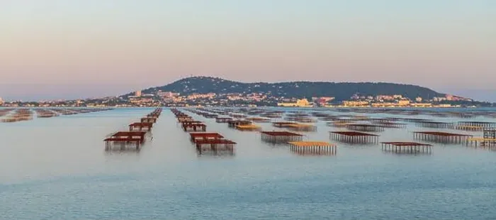 Framed Print : Oyster tables on the Etang de Thau, and Mont Saint Clair at sunset, in Occitanie, France Framed Print : Oyster tables on the Etang de Thau, and Mont Saint Clair at sunset, in Occitanie, France