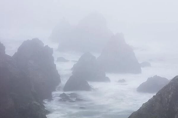 The Pacific Ocean crashes against sea stacks along the foggy seashore of Northern California. This rugged area, north of San Francisco, is beautiful