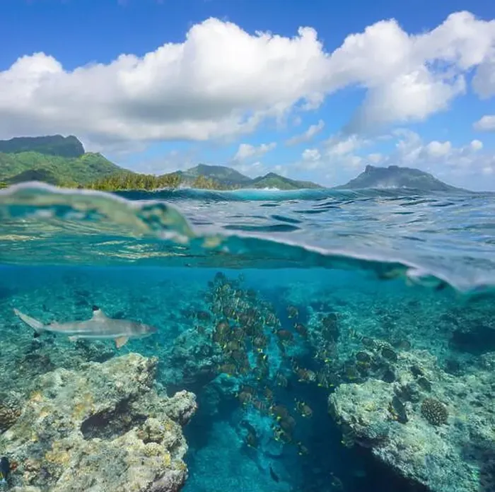 Framed Print : Pacific ocean seascape off the coast of Huahine island in French Polynesia Framed Print : Pacific ocean seascape off the coast of Huahine island in French Polynesia