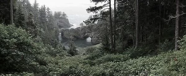 The Pacific Ocean washes against the scenic coastline of southern Oregon. This rugged part of the Pacific Northwest is found along highway 101