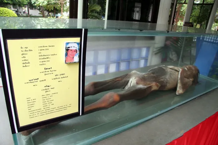 Framed Print : Painet iy8494 sleleton child kid thailand life museum macabre exhibit mumified bodies aids victims lopburi buddhist Framed Print : Painet iy8494 sleleton child kid thailand life museum macabre exhibit mumified bodies aids victims lopburi buddhist